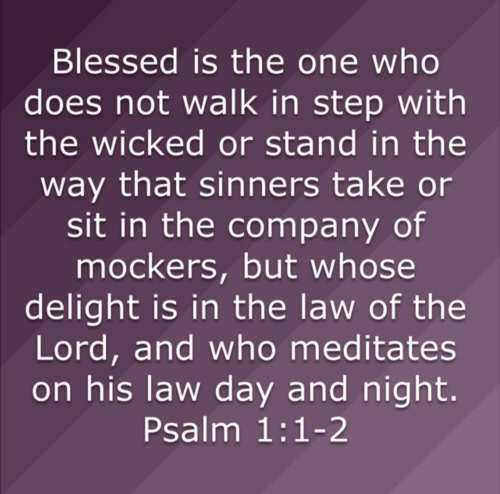 Screenshot_20251001-182945-485