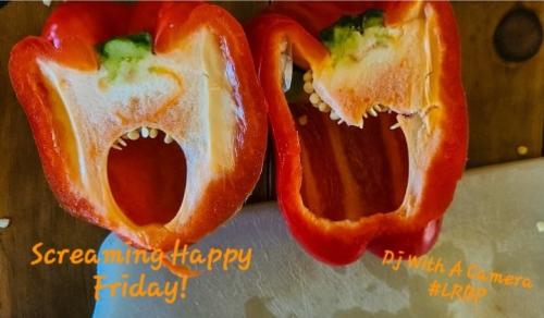 Screenshot_20251017_072020_Gallery