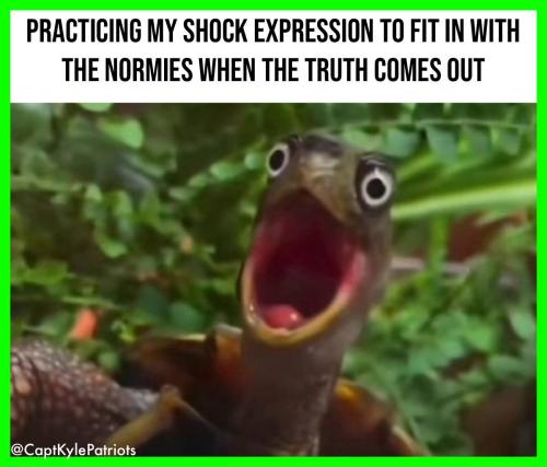 IMG_20251001_140253_535