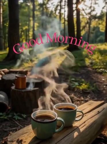 557395984_1210618797773379_6906789230534866863_n