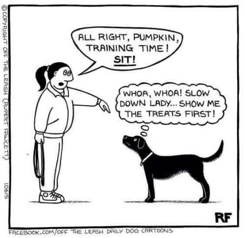 438986723bb96dacf24d1829fbb7f325