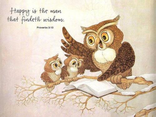 5b0cfa77c62e4b9fb9f089b7fd913ef9