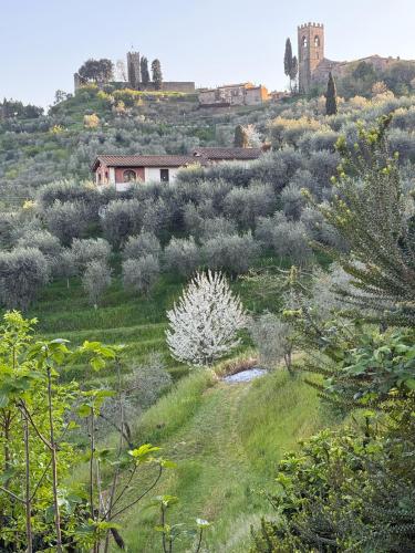 182bd436-6de4-461a-baf3-8a8f1c02b5d9