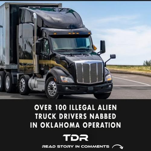 illegal alien drivers