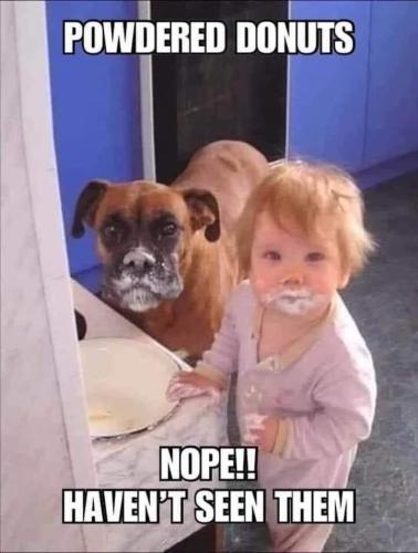 0354f651e341cf8bfae3a0efcb8e61a7