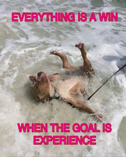 IMG_20251021_135011_251