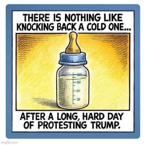 protesting_Trump_baby_bottle_lib_dem