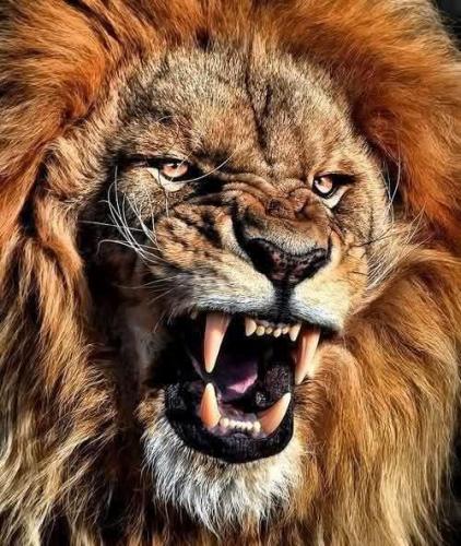 f082e81b-53f2-44b9-af17-63b939983e97