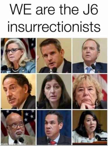 we-are-j6-insurrectionists