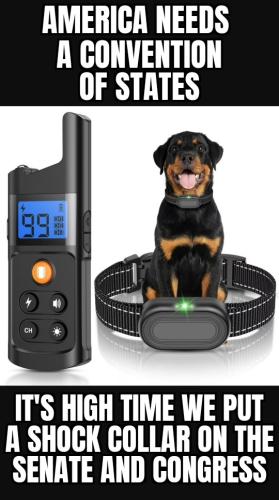 ZomboMeme 24102025133215