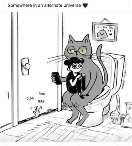 FB_IMG_1605128923404