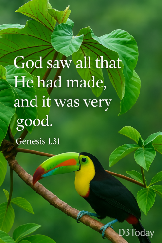 ChatGPT Image Sep 23, 2025, 11_47_38 AM