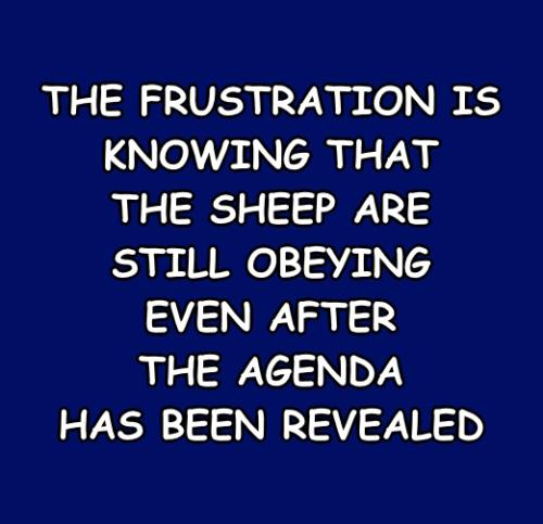 The Sheep And The Agenda