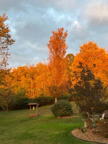 5B538636-F63D-4819-BE6A-D0D465349B4F