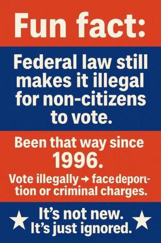 federal-law-illegals-not-vote