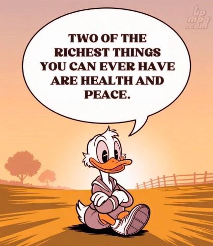 main-qimg-325a667623efeded0f65a2a110c59e6a