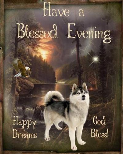 567360058_18029155067743683_5078854227451082334_n