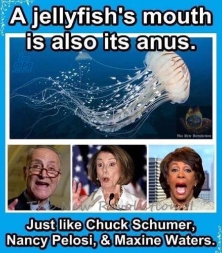 main-qimg-294363d737678fecfad52faa42330458