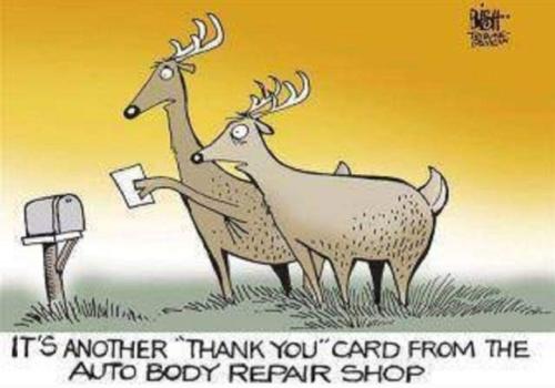 Screenshot_20251020_071109_Gallery