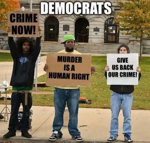 168d1659-6e50-4d68-8de2-7c80fa19d36d