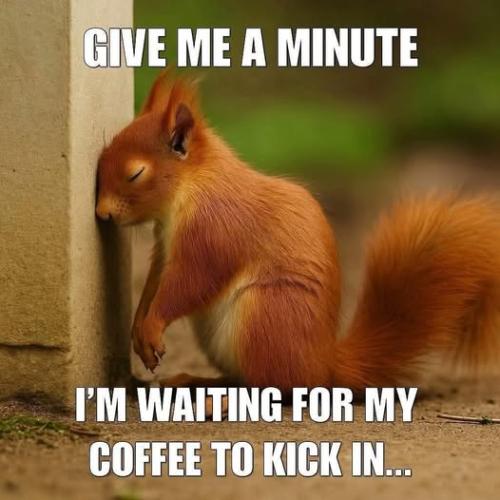 571116491_2079488286122731_7658400318137432428_n