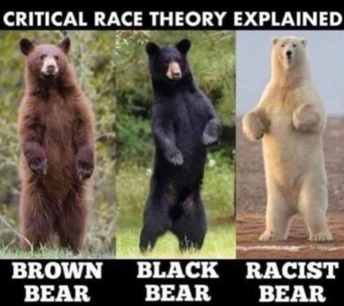 racist bear
