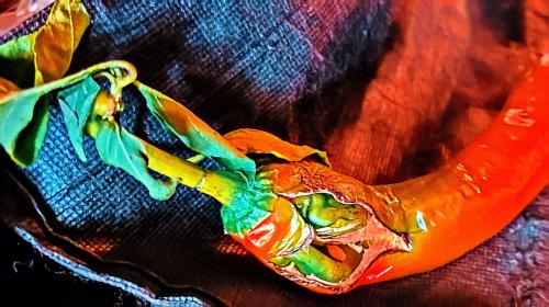 IMG_20251026_152027485_Jump