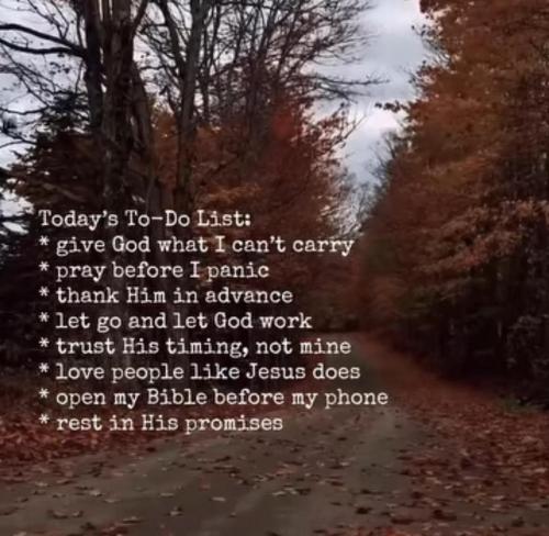 IMG_20251026_130808_568