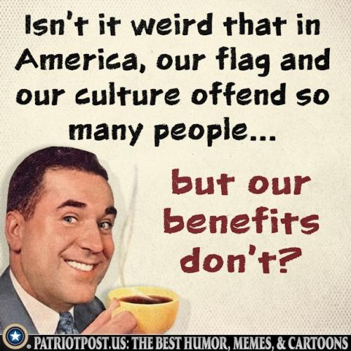 01K8VXJ5GM3W757HSPWJMVJKYP