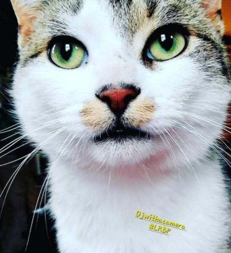 Screenshot_20251018_125209_Gallery