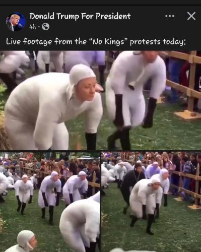 Proof they're sheeps