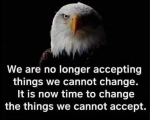 54a58025-e08b-4455-a9d7-8f5e4063f667_824x664