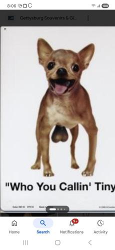 1cdf2415-3a4b-4f5e-808c-aa3d8e21aa1e