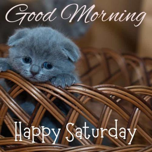 Happy-Saturday-Images-3