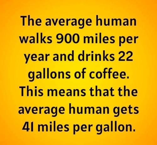 IMG_20251020_133817_796