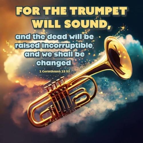 3d2e564133f2815901c14bc41f99661c