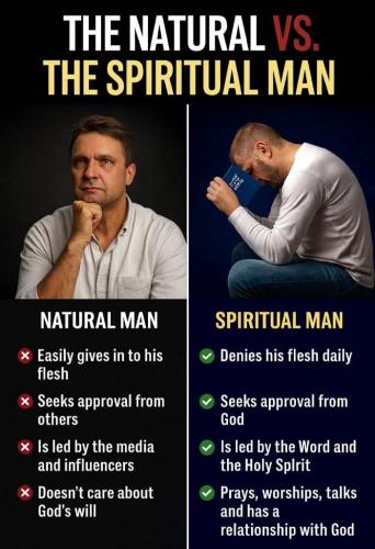 80aec2be-a05d-42c5-b541-dc7d81e40864