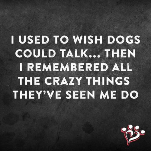 79a5d4537587c880cff1381c52368a67