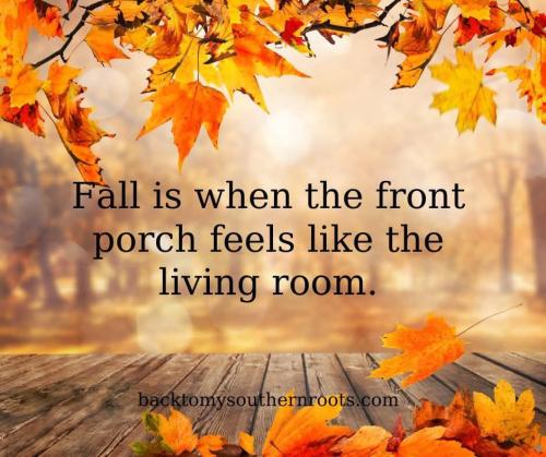 IMG_20251004_075157_593