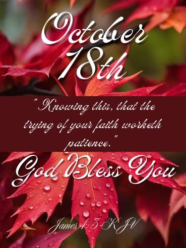 565349281_833077219226626_7182127100310125508_n