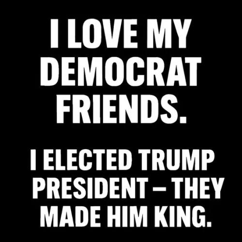 i-elected-trump-democrats-made-him-king