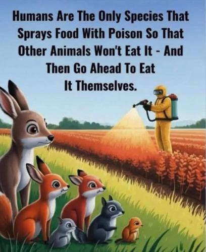 e056a075-12b2-458d-a204-68f2c25d1183