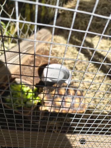 IMG_20251021_095301054_HDR