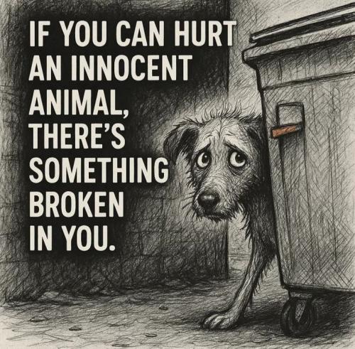 a3e0a2418b6e21989cc92f36b427aabb