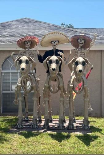 561659540_1844832166917076_5323010054590404869_n