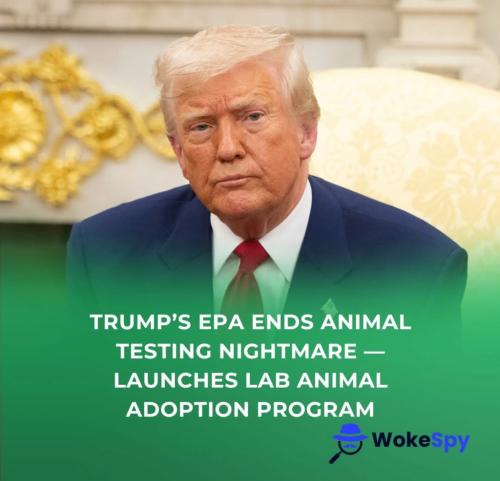 ABB2748F-E489-4326-859D-C199C0DBC2C9