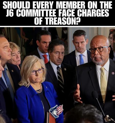 All of them orchestrated it and set up M.A.G.A. movements