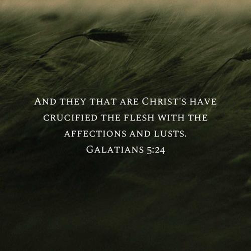 300A6B1C-474D-401A-9315-BDEFFF87C293