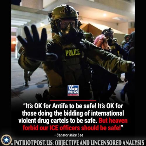 01K772NSPK1ZH5J8SW4Y678J4Z