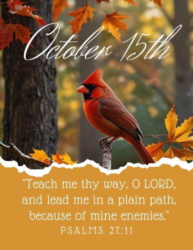 562403602_830720352795646_4577185324279813399_n